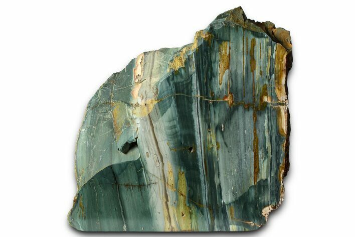 Freestanding Gary Green Jasper (Larsonite) Bog Wood - Oregon #377944